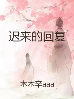 迟来的回复封面