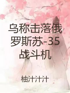 乌称击落俄罗斯苏-35战斗机封面