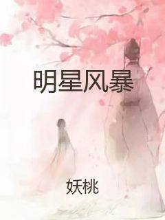 明星风暴封面