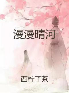 漫漫晴河封面