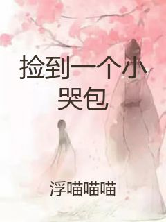 捡到一个小哭包封面