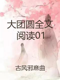 大团圆全文阅读01封面