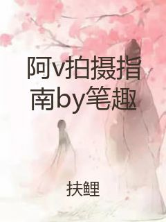 阿v拍摄指南by笔趣封面