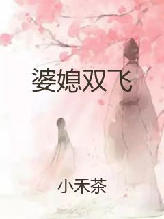 婆媳双飞封面