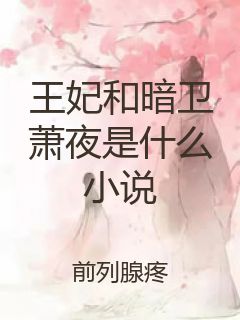 王妃和暗卫萧夜是什么小说封面