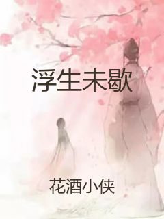 浮生未歇封面