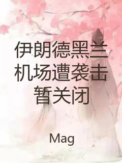 伊朗德黑兰机场遭袭击暂关闭封面