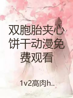 双胞胎夹心饼干动漫免费观看封面