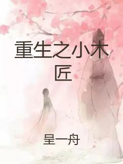 重生之小木匠封面