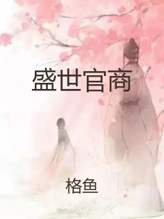 盛世官商封面