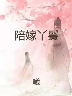 陪嫁丫鬟封面