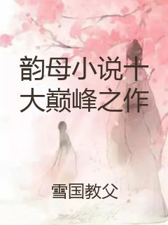 韵母小说十大巅峰之作封面