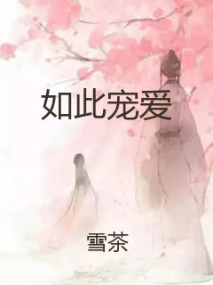如此宠爱封面